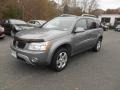 2006 Stone Gray Metallic Pontiac Torrent AWD  photo #6