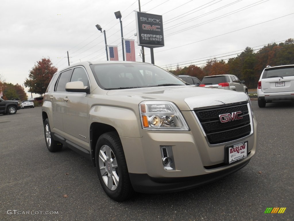 2010 Terrain SLE - Gold Mist Metallic / Jet Black photo #1