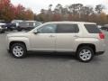 2010 Gold Mist Metallic GMC Terrain SLE  photo #4