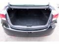 Midnight Black - Elantra GLS Photo No. 42