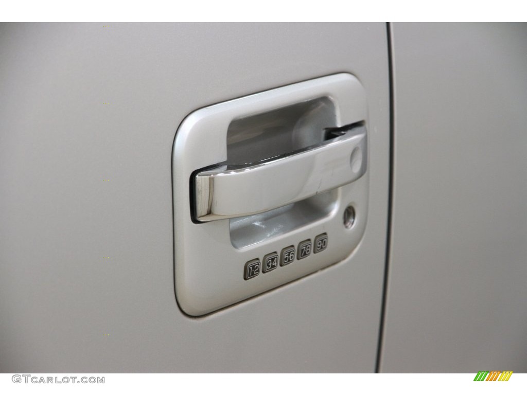 2010 F150 Platinum SuperCrew 4x4 - Ingot Silver Metallic / Sienna Brown Leather/Black photo #4