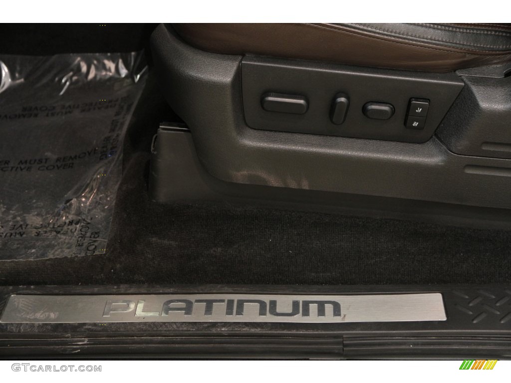 2010 F150 Platinum SuperCrew 4x4 - Ingot Silver Metallic / Sienna Brown Leather/Black photo #7