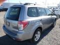 Steel Silver Metallic - Forester 2.5 X Photo No. 7
