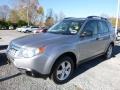 Steel Silver Metallic - Forester 2.5 X Photo No. 12