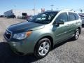 Jasmine Green Metallic 2016 Subaru Forester 2.5i Limited Exterior