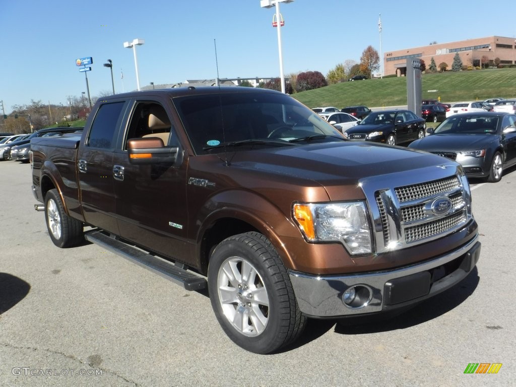 2011 F150 Lariat SuperCrew - Golden Bronze Metallic / Pale Adobe photo #10