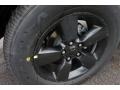 Brilliant Black Crystal Pearl - 1500 Express Crew Cab Photo No. 5