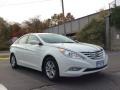 Shimmering White - Sonata GLS Photo No. 3