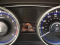 Shimmering White - Sonata GLS Photo No. 20