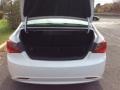 Shimmering White - Sonata GLS Photo No. 22