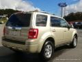 2012 Gold Leaf Metallic Ford Escape Limited V6  photo #5