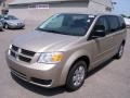 2009 Light Sandstone Metallic Dodge Grand Caravan SE  photo #1