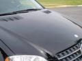 Black - ML 350 4Matic Photo No. 12