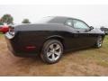 Pitch Black - Challenger SXT Photo No. 3