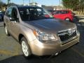 Burnished Bronze Metallic - Forester 2.5i Photo No. 5