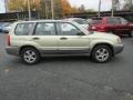 Sierra Gold Metallic - Forester 2.5 XS Photo No. 5