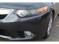 Graphite Luster Metallic - TSX Sedan Photo No. 31