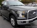 Magnetic Metallic - F150 XLT SuperCrew Photo No. 34