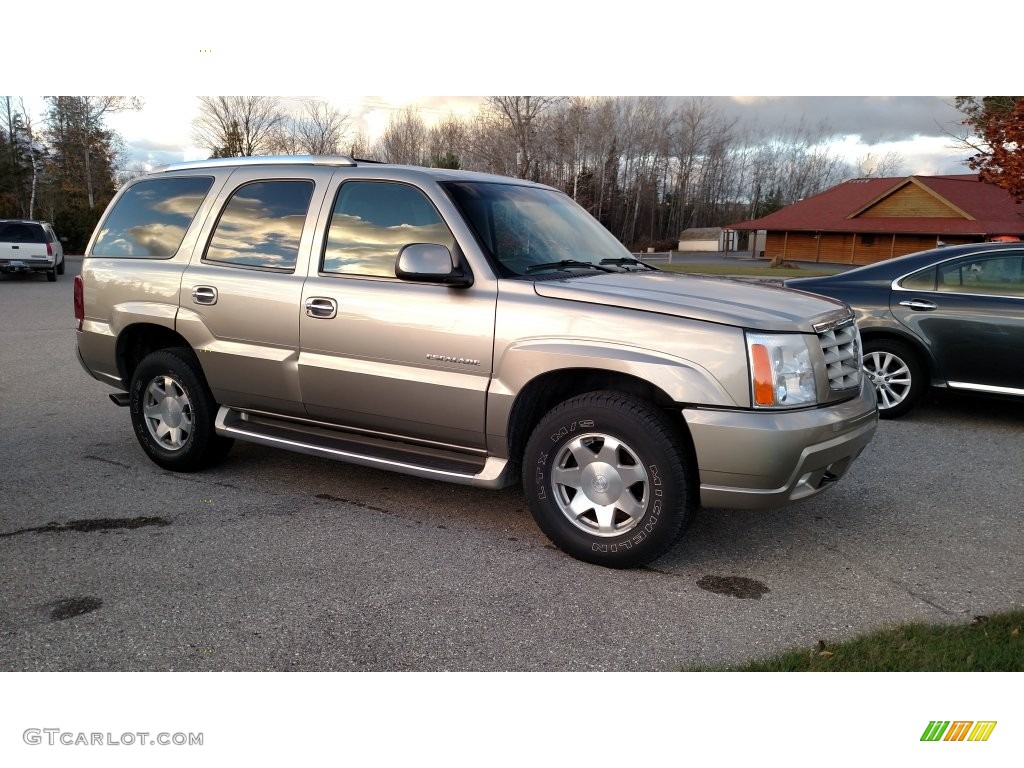 2002 Escalade AWD - Silver Sand / Shale photo #1