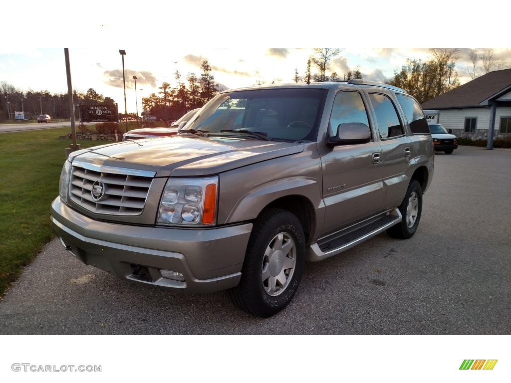 2002 Escalade AWD - Silver Sand / Shale photo #4