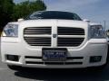 Stone White - Magnum R/T Photo No. 3