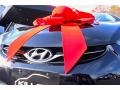 Midnight Black - Elantra GLS Photo No. 14