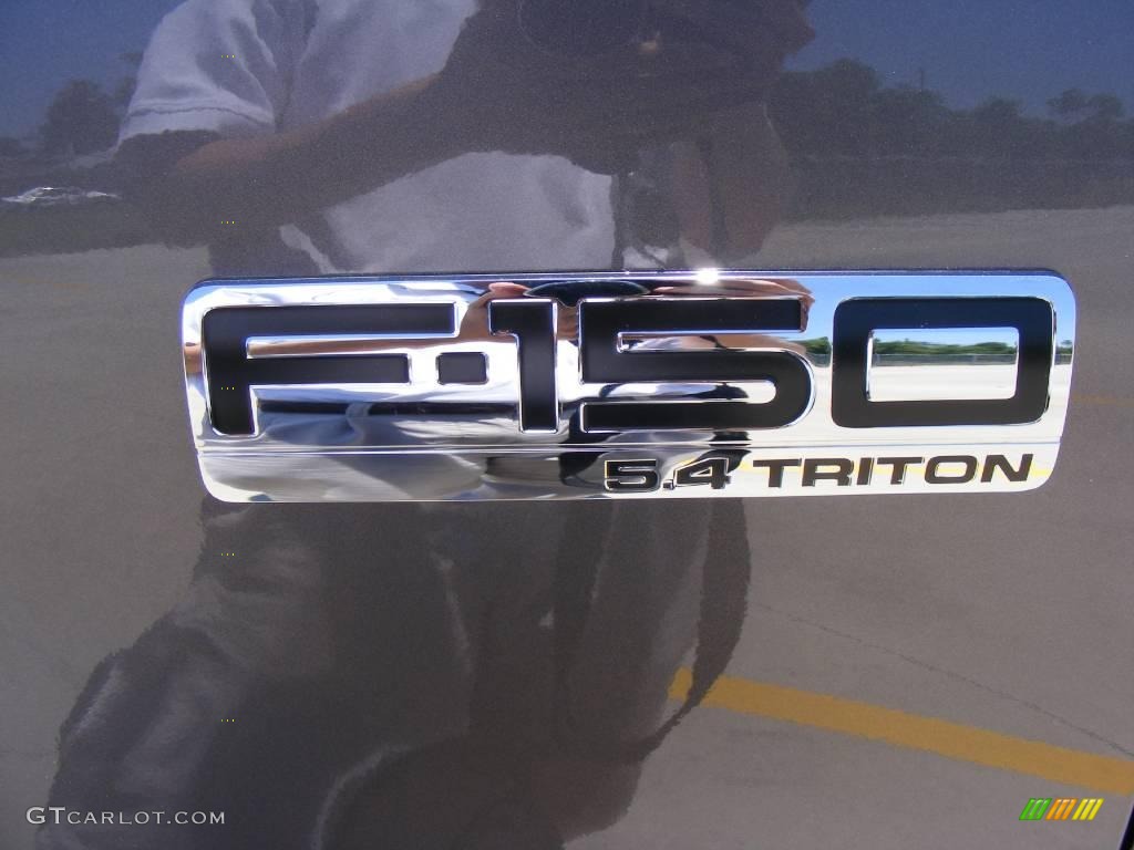 2006 F150 XLT SuperCrew 4x4 - Dark Shadow Grey Metallic / Medium/Dark Flint photo #12