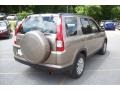 2006 Sahara Sand Metallic Honda CR-V SE 4WD  photo #3