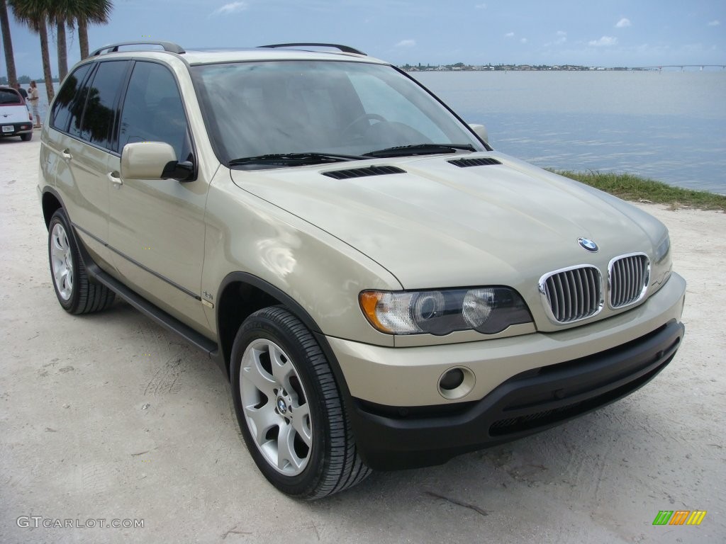 Pearl Beige Metallic BMW X5