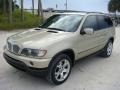 2002 Pearl Beige Metallic BMW X5 4.4i  photo #3