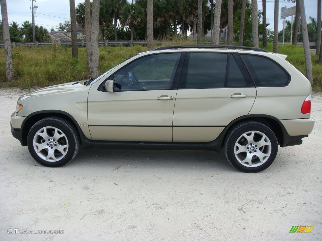 2002 X5 4.4i - Pearl Beige Metallic / Beige photo #4