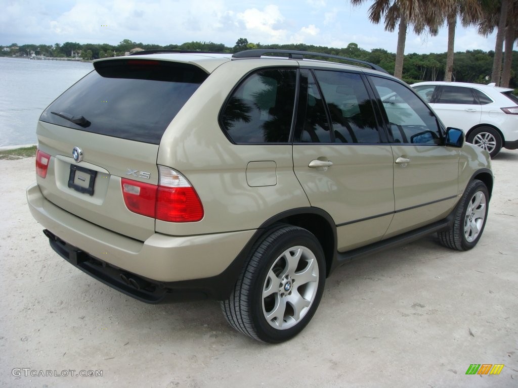 2002 X5 4.4i - Pearl Beige Metallic / Beige photo #7