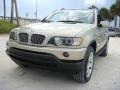 Pearl Beige Metallic - X5 4.4i Photo No. 31