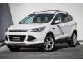 White Platinum Metallic Tri-Coat - Escape Titanium 2.0L EcoBoost Photo No. 13