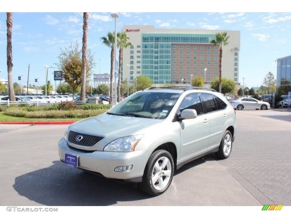 2005 RX 330 - Bamboo Pearl / Light Gray photo #3