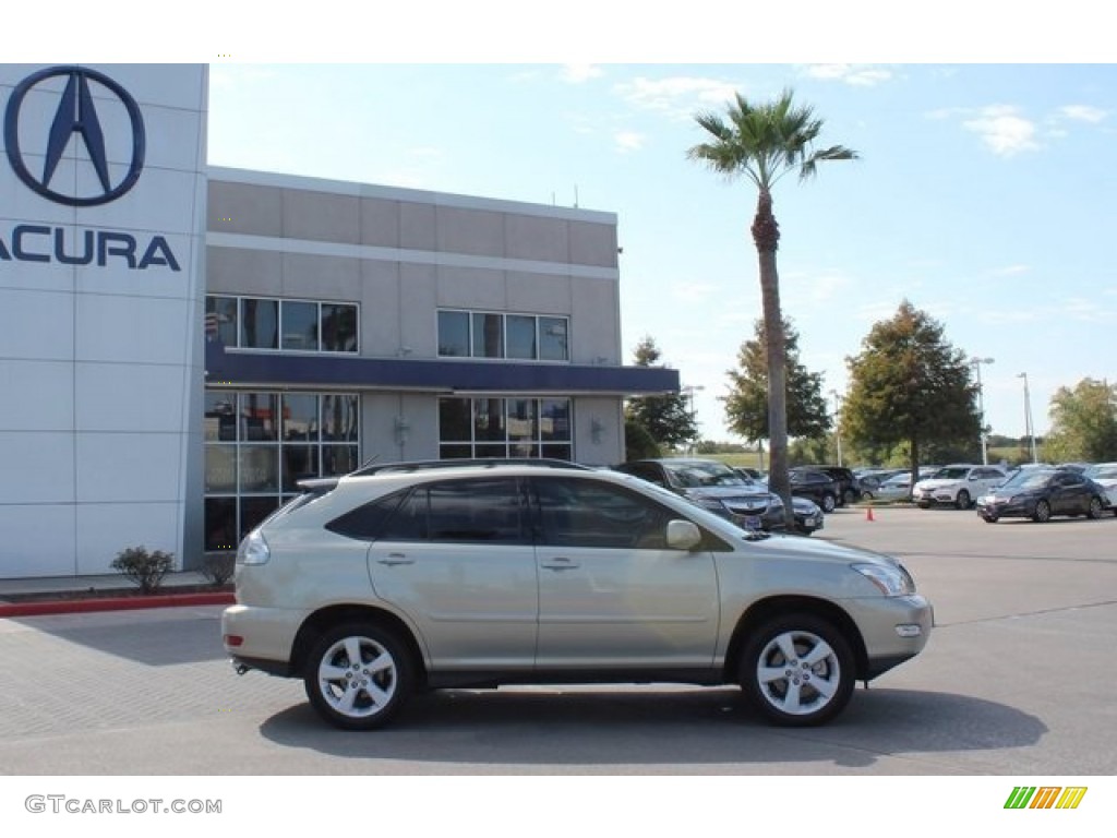 2005 RX 330 - Bamboo Pearl / Light Gray photo #8