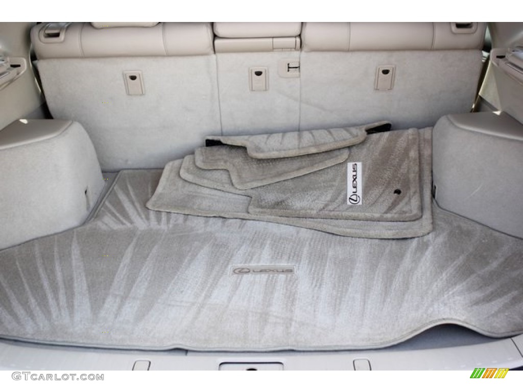 2005 RX 330 - Bamboo Pearl / Light Gray photo #20
