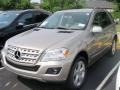 Pewter Metallic - ML 320 BlueTec 4Matic Photo No. 1