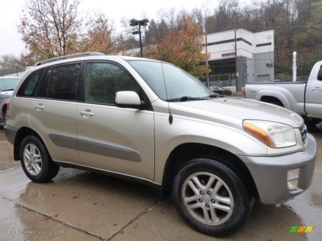 2001 RAV4 4WD - Vintage Gold / Oak photo #1