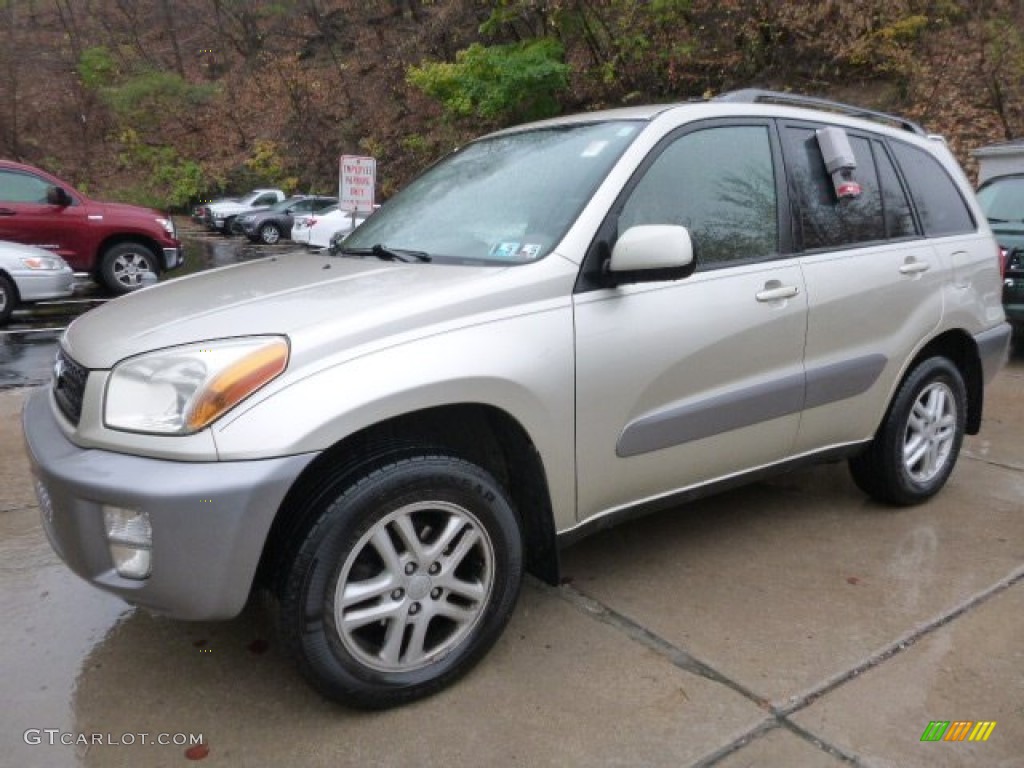 2001 RAV4 4WD - Vintage Gold / Oak photo #7