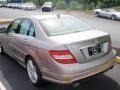 Pewter Metallic - C 300 Sport Photo No. 8