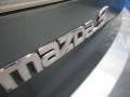 2013 Dolphin Gray Mica Mazda MAZDA3 i Touring 4 Door  photo #6