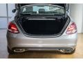 Palladium Silver Metallic - C 300 Sedan Photo No. 5