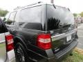 Magnetic Metallic - Expedition XLT Photo No. 4