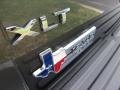 Magnetic Metallic - Expedition XLT Photo No. 5
