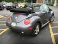 Platinum Grey Metallic - New Beetle GLS 1.8T Convertible Photo No. 5