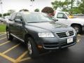 Reed Green Metallic - Touareg V6 Photo No. 6
