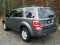 Sterling Grey Metallic - Escape XLT V6 Photo No. 6