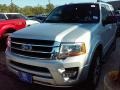 Ingot Silver Metallic - Expedition XLT Photo No. 9