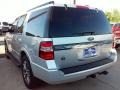 Ingot Silver Metallic - Expedition XLT Photo No. 12